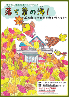 落ち葉WS1.jpg