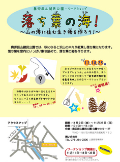 落ち葉WS1裏.jpg