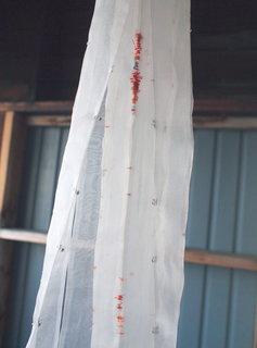 PA052719.jpg